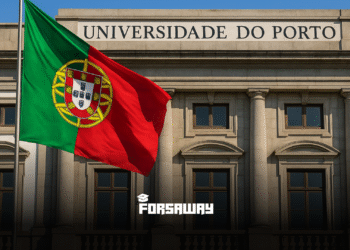 University of Porto Scholarships 2026 – Bachelor, Master & PhD