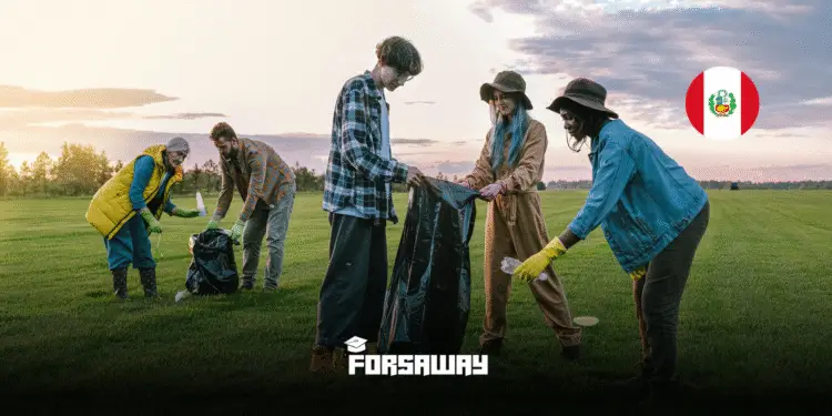 EcoSwell Volunteer Internship in Peru