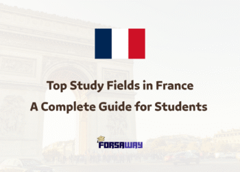 Top Study Fields in France A Complete Guide for Students