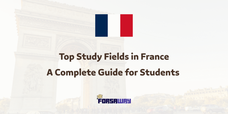 Top Study Fields in France A Complete Guide for Students