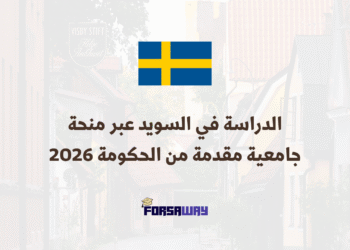 الدراسة في السويد عبر منحة جامعية مقدمة من الحكومة بتمويل كامل 2026 (1)