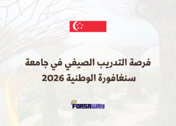 (فرصة التدريب الصيفي في جامعة سنغافورة الوطنية 2026 (ممول بالكامل