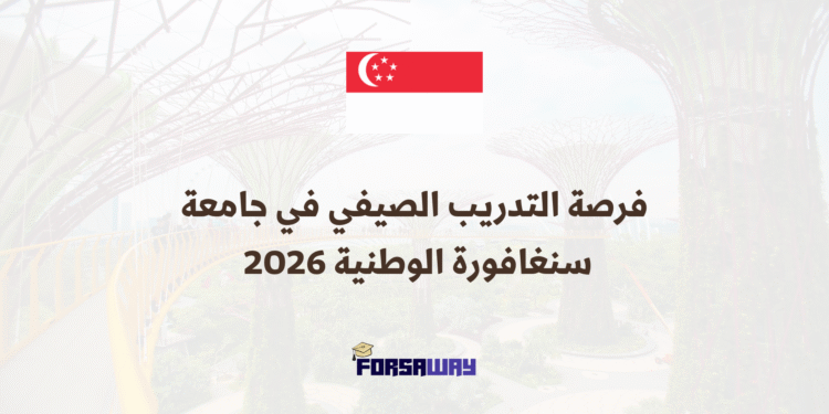 (فرصة التدريب الصيفي في جامعة سنغافورة الوطنية 2026 (ممول بالكامل