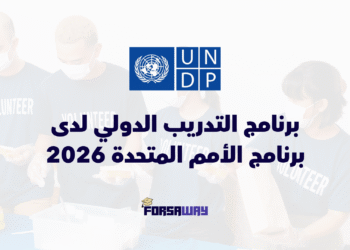 برنامج التدريب الدولي الممول بالكامل لدى برنامج الأمم المتحدة الإنمائي 2026