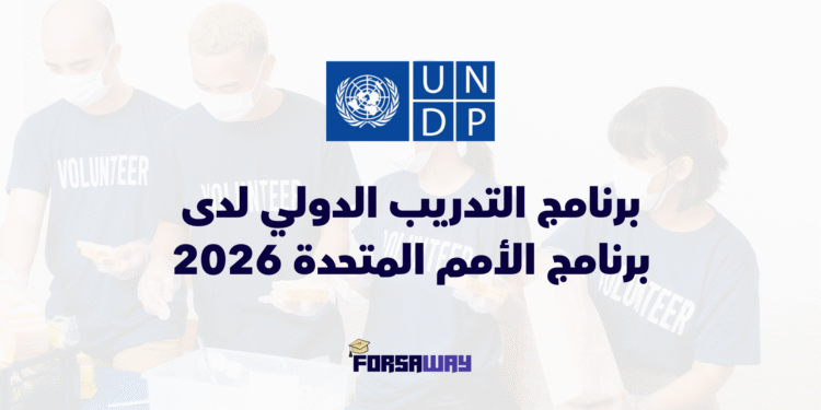 برنامج التدريب الدولي الممول بالكامل لدى برنامج الأمم المتحدة الإنمائي 2026