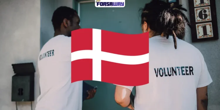 فتح باب التقديم لبرنامج التضامن الأوروبي في الدنمارك 2026 بمنحة شاملة وراتب شهري