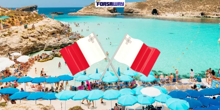 برنامج التطوع الممول في مالطا لعام 2026 (إقامة + منحة شهرية + دعم التأشيرة)