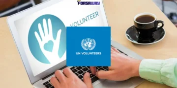 برنامج التطوع عبر الإنترنت للأمم المتحدة 2026 فرصة تطوع ممول بالكامل بشهادة معتمدة